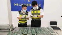 国产人人看人人爱,打造全民互动娱乐新体验